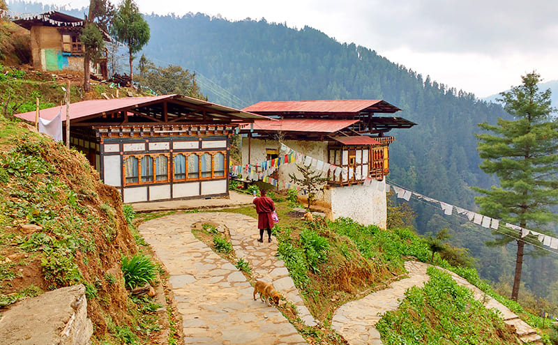 Tu Viện Tango thủ đô Thimphu | Tour Du lịch Bhutan