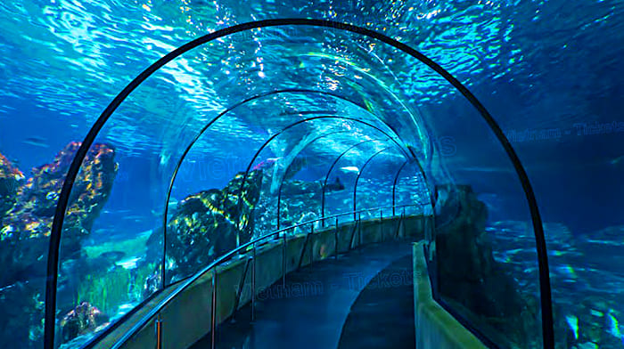 Osaka Kaiyukan Aquarium (1) | Vé máy bay từ Kagoshima đến Osaka