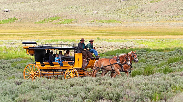 Trải nghiệm phiêu lưu trên xe ngựa trong vườn quốc gia Yellowstone