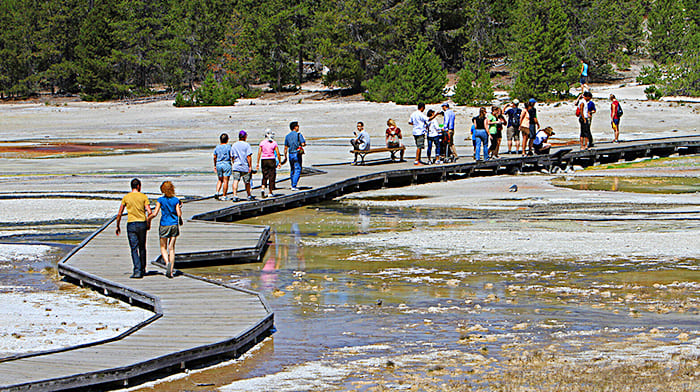 Không nên đi một mình trong vườn quốc gia Yellowstone