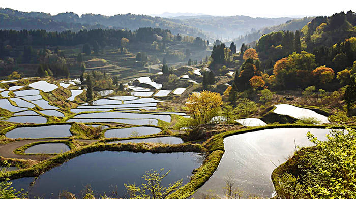 Ruộng bậc thang Hoshitoge | Địa điểm du lịch Niigata