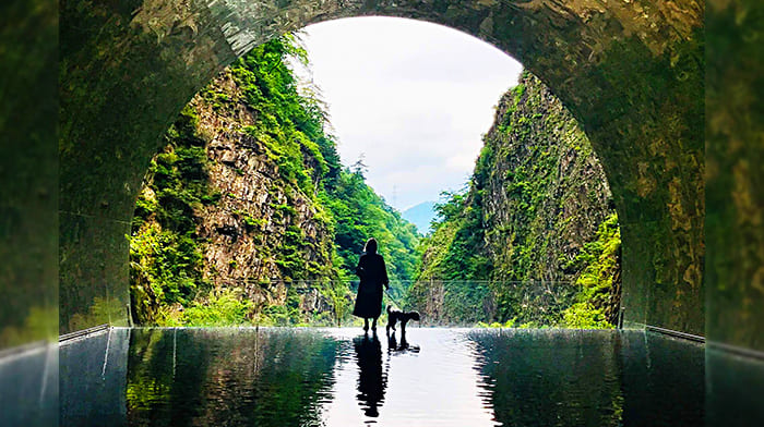 Đường hầm ánh sáng (hẻm núi Kiyotsu) | Địa điểm du lịch Niigata