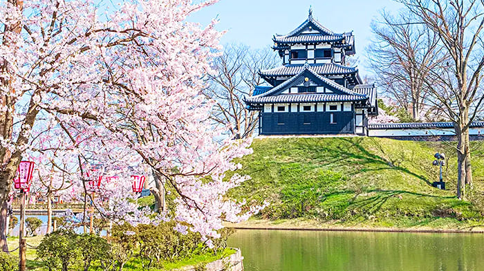 Công viên lâu đài Takada | Địa điểm du lịch Niigata