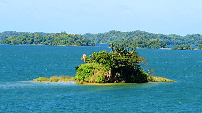 Đi thuyền ngắm cảnh sắc tuyệt đẹp ở hồ Gatun kênh đào Panama