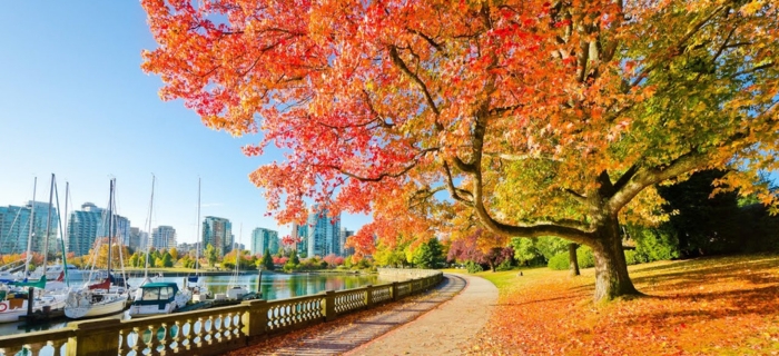 Công viên Stanley Vancouver