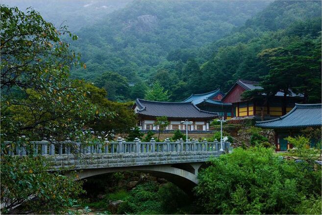 Hàn Quốc trong sắc xanh thiên nhiên | Vé Máy Bay Hồ Chí Minh đi Hàn Quốc Giá Rẻ tại Đại lý Vietnam Tickets Hotline 19003173