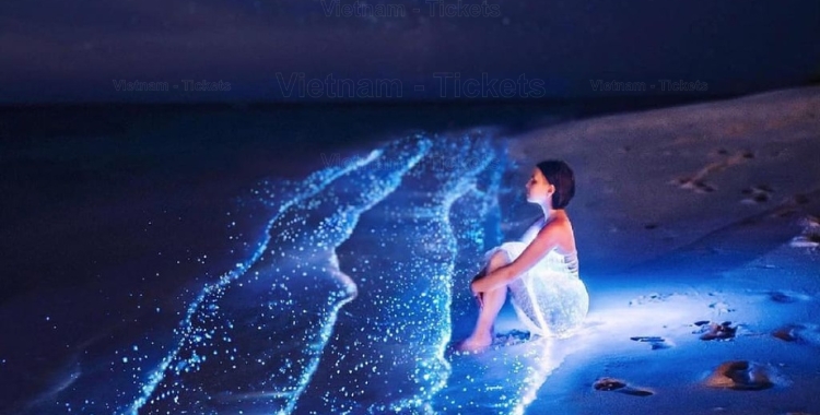 Bãi biển Vaadhoo phát sáng tại Maldives