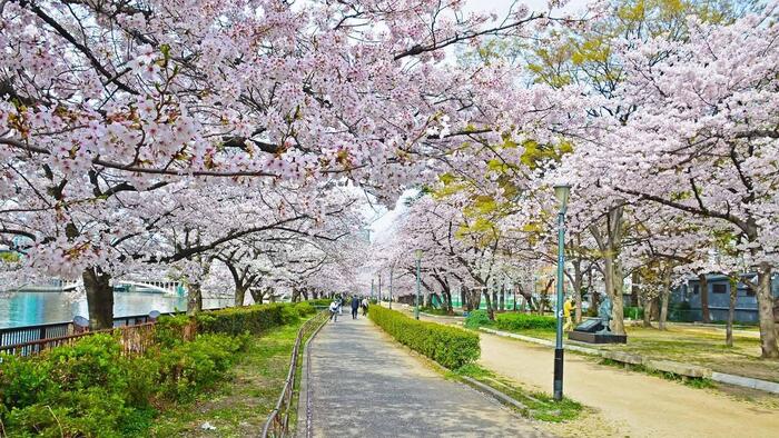 Công viên Ueno Tokyo | Vé Máy Bay Hà Nội Tokyo Giá Rẻ tại Đại lý Vietnam Tickets Hotline 19003173