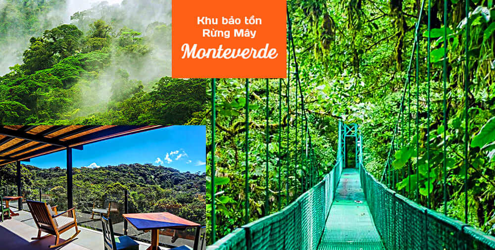 Khu Bảo Tồn Rừng Mây Monteverde | Vé Máy Bay đi Costa Rica