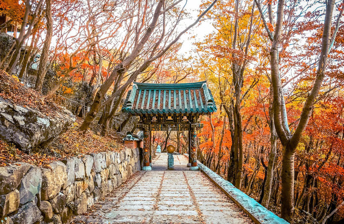 Mùa Thu ở Hàn Quốc đẹp như thiên đường | Vé Máy Bay đi Hàn Quốc Giá Rẻ Hotline 19003173