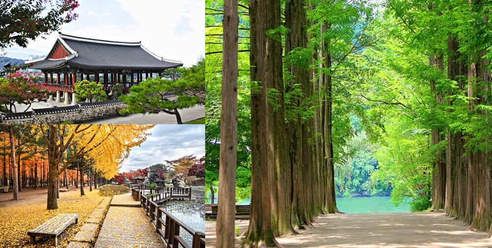 Thiên nhiên Hàn Quốc đẹp ở các mùa | Vé Máy Bay Đà Nẵng đi Hàn Quốc Hotline 19003173 tại Vietnam Tickets