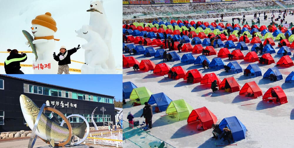 Lễ Hội Câu Cá Hồi trên băng tại Pyeongchang Hàn Quốc | Vé Máy Bay đi Hàn Quốc tháng 12