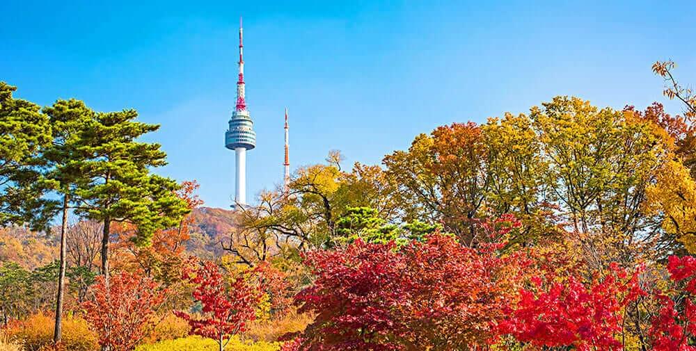 Tháp Namsan và Núi Namsan | Vé máy bay đi Seoul