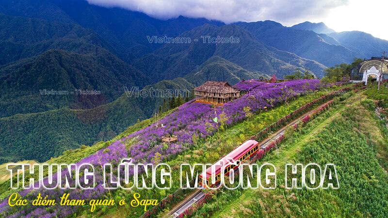 Thung lũng Mường Hoa | Các điểm tham quan ở Sapa