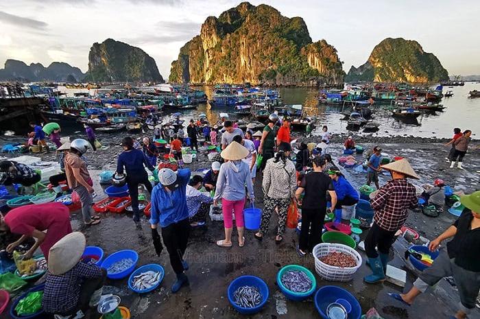 Mua hải sản tại khu chợ hải sản Quảng Ninh | Chơi gì ở Hạ Long 1 ngày