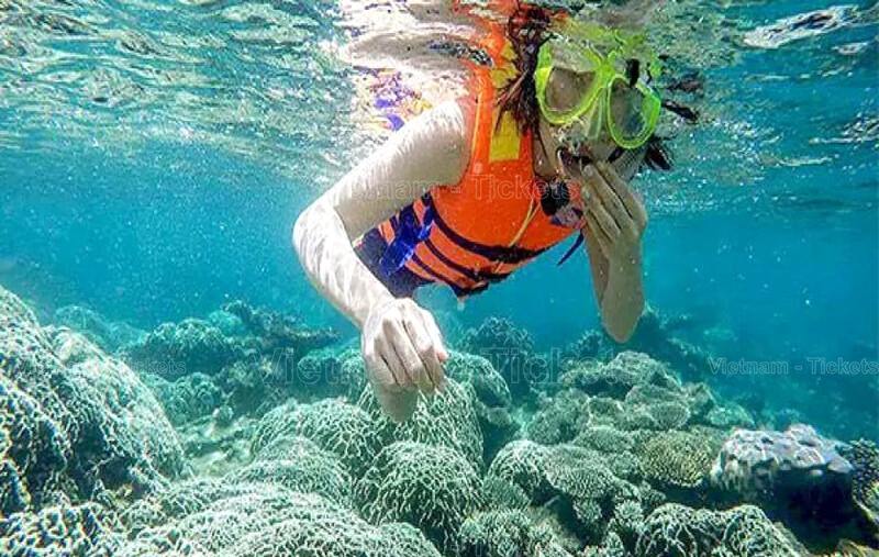 Lặn biển khám phá thế giới san hô tại Hòn Chùa thêm nhiều trải nghiệm thú vị | Chơi gì ở Phú Yên