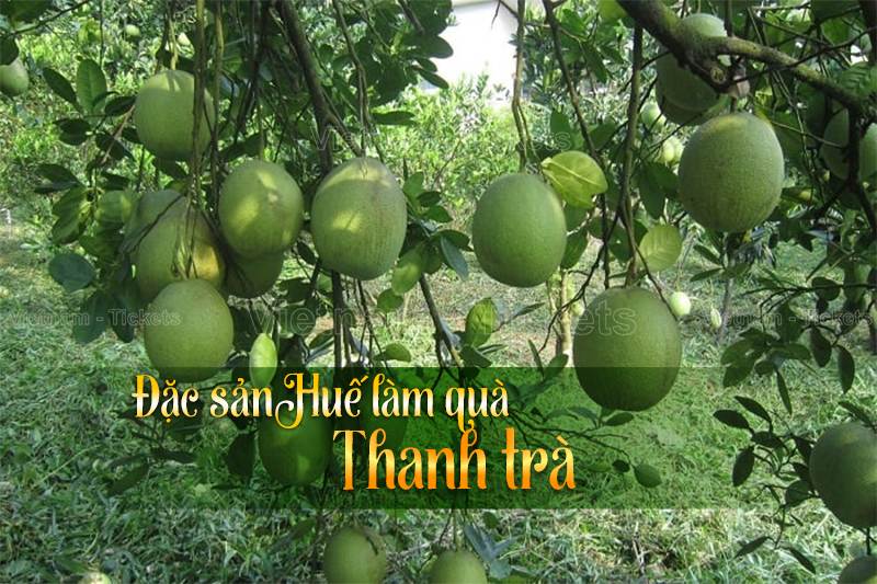 Thanh trà | Đặc sản Huế làm quà