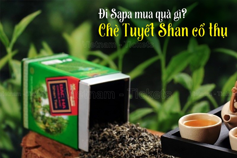 Đi Sapa mua quà gì? Chè Tuyết Shan