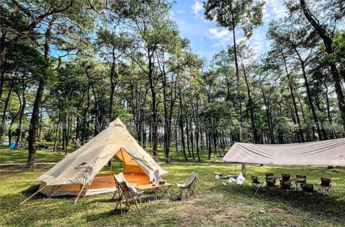 Cắm trại cùng bạn bè tại khu rừng thông Ba Vì | Địa điểm du lịch gần Hà Nội trong 1 ngày