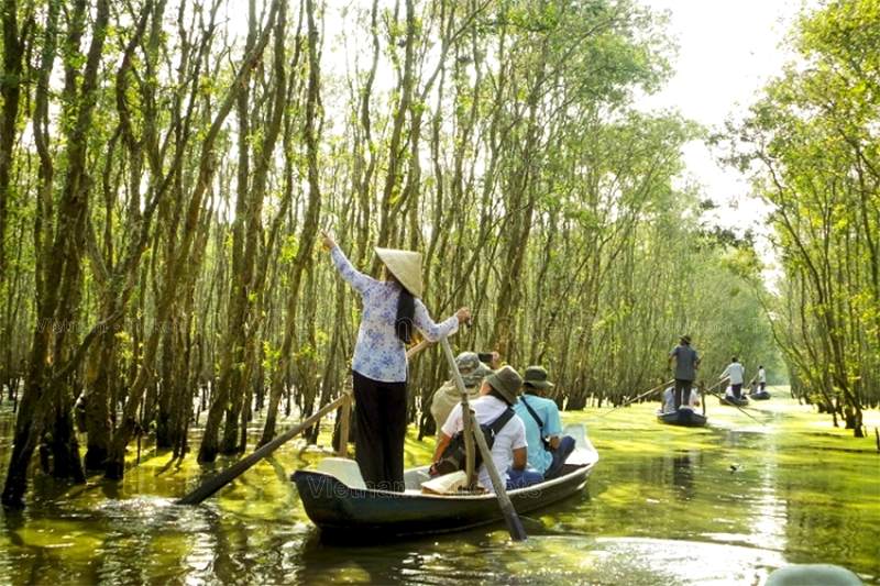 Thực hiện chuyến du lịch dịp lễ 2/9 tại rừng tràm Trà Sư bạn sẽ được khám phá vẻ đẹp thiên nhiên đầy sống động, ấn tượng của miền Tây sông nước