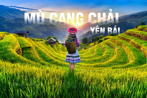 Đến Mù Cang Chải du lịch dịp lễ dịp 2/9 để ngắm nhìn vẻ đẹp rực rỡ của mùa lúa chín nhé