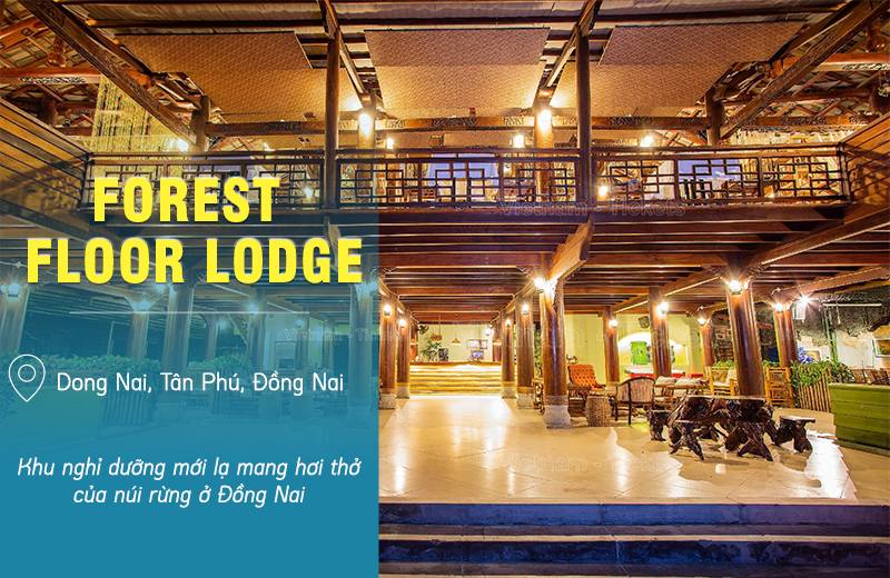 Forest Floor Lodge - Tân Phú, Đồng Nai | Du lịch nghỉ dưỡng gần Sài Gòn