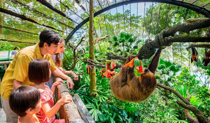 Sở thú Singapore là địa điểm du lịch lý tưởng cho nhóm khách gia đình và trẻ em
