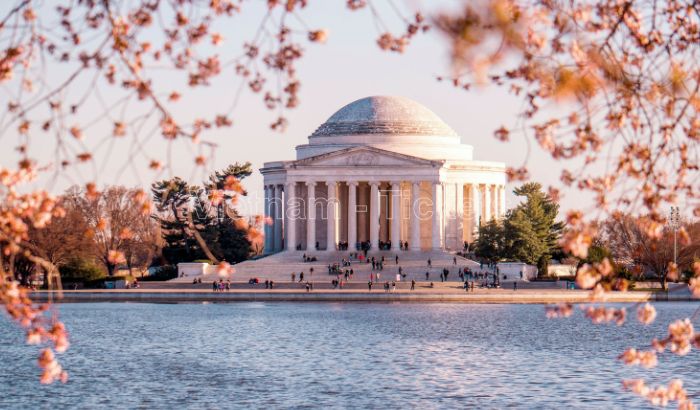 Vẻ đẹp nên thơ vào mùa xuân tại thủ đô Washington, D.C