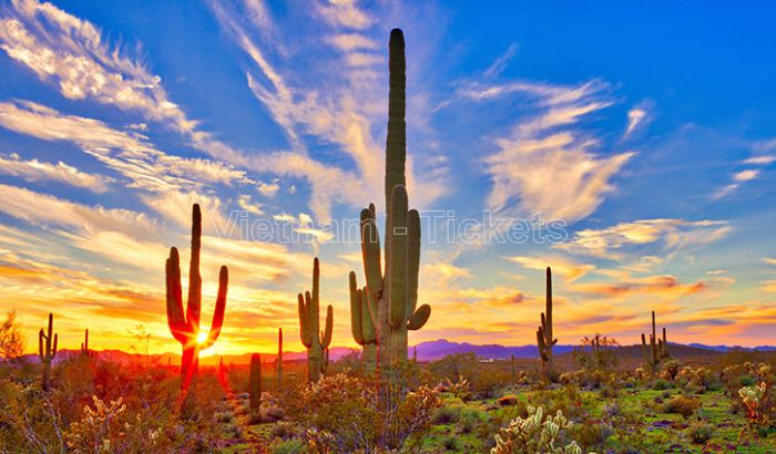 Thành phố Phoenix nổi tiếng với vẻ đẹp thiên nhiên hùng vĩ và sa mạc hoang sơ