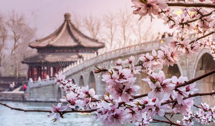 Mùa xuân lãng mạn và xinh đẹp tại Trung Quốc