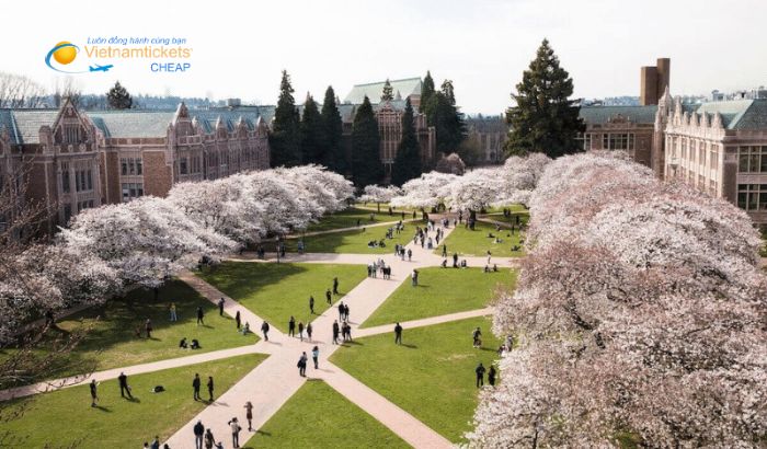 Đại học Washington thu hút hàng ngàn du học sinh đến thành phố Seattle