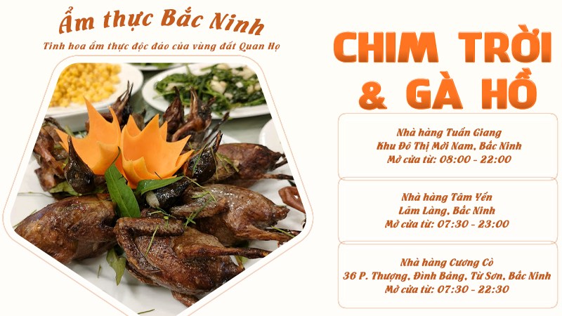 Các món ngon từ gà hồ & chim trời | Food tour Bắc Ninh