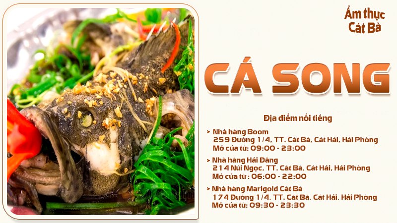 Các món từ cá song | Food tour Cát Bà