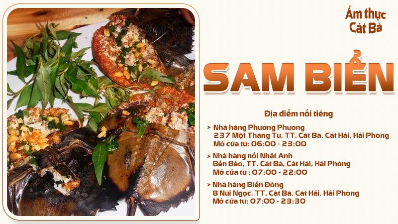 Các món từ sam biển | Food tour Cát Bà