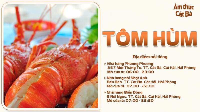 Các món từ tôm hùm | Food tour Cát Bà