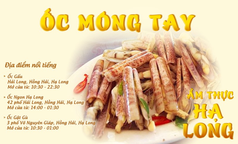 Ốc móng tay | Food tour Hạ Long