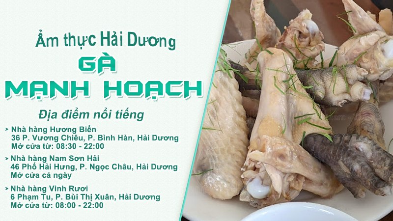 Các món từ gà tươi Mạnh Hoạch | Food tour Hải Dương