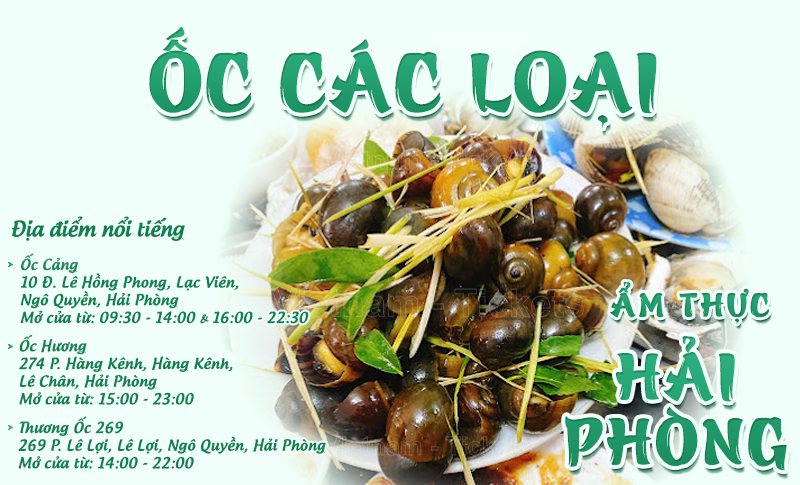 Các món ốc | Food tour Hải Phòng