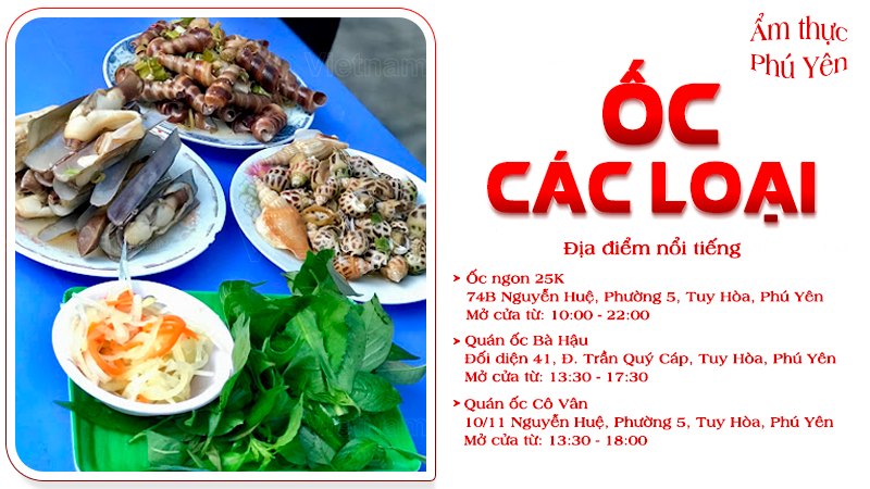 Các món ốc | Food tour Phú Yên