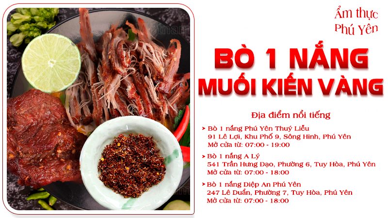 Bò một nắng muối kiến vàng | Food tour Phú Yên