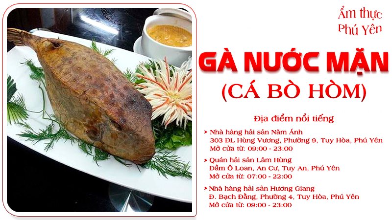 Gà nước mặn | Food tour Phú Yên