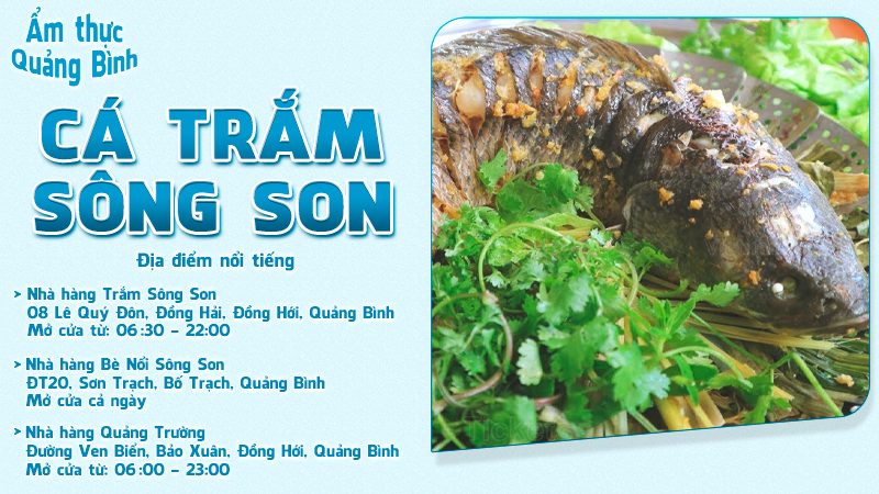 Cá trắm sông Son | Food tour Quảng Bình