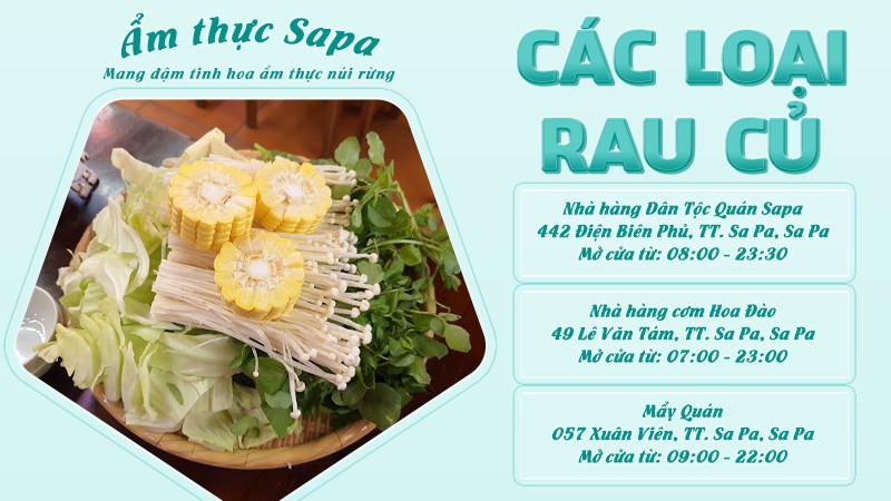 Các loại rau củ Tây Bắc | Food tour Sapa