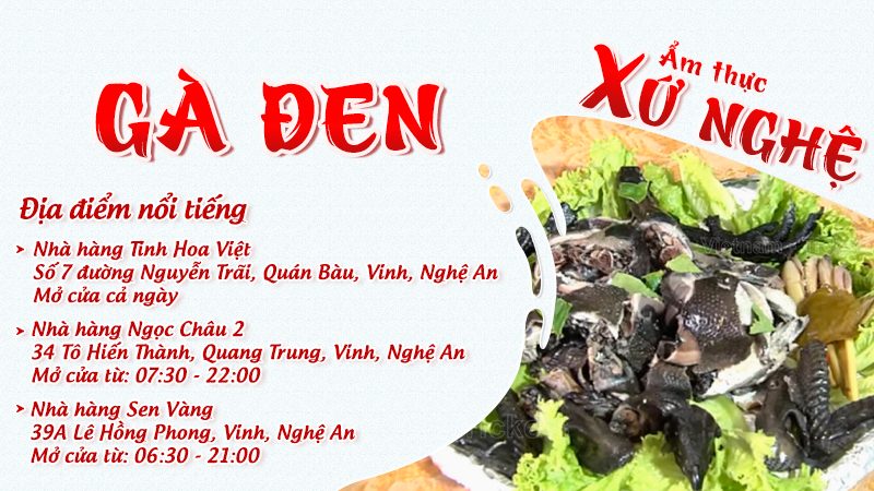 Gà đen | Food tour Vinh