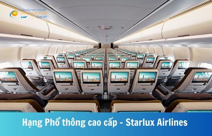 Hạng ghế phổ thông đặc biệt hãng Starlux Airlines