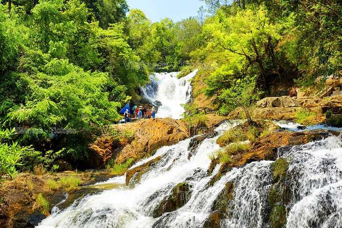 Thác Dalanta - ngắm nhìn vẻ đẹp hoang sơ bình dị của núi rừng tại Đà Lạt | Kinh nghiệm du lịch Đà Lạt