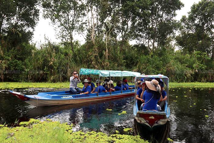 Trải nghiệm đi xuồng xuyên rừng tại vườn quốc gia U Minh Thượng| Kinh nghiệm du lịch Kiên Giang