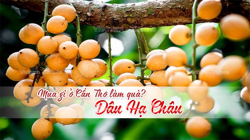 Mua gì ở Cần Thơ làm quà? Dâu Hạ Châu