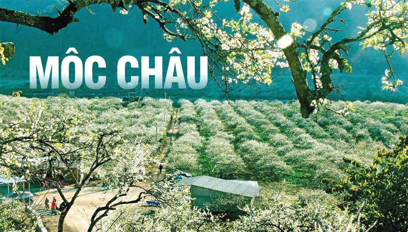 Mộc Châu - thiên đường sống ảo đẹp hút hồn vào những ngày mưa | Mùa mưa nên đi du lịch ở đâu