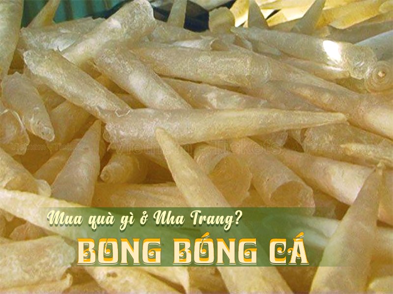 Bong bóng cá | Mua quà gì ở Nha Trang